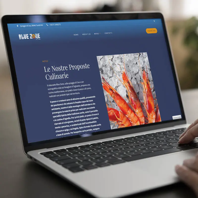 Sito web blue-zone