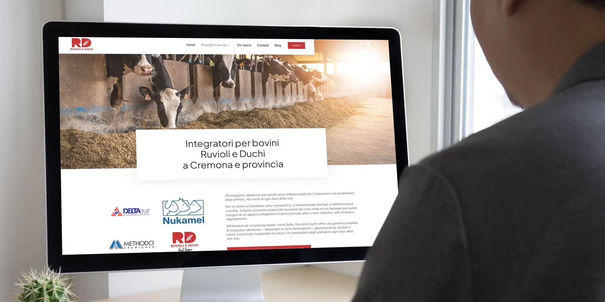 Nuovo sito web per Ruvioli e Duchi